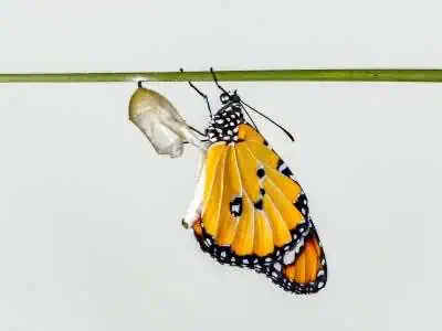 como sair da depressão são paulo