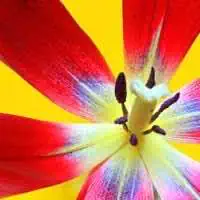 Superar a depressão